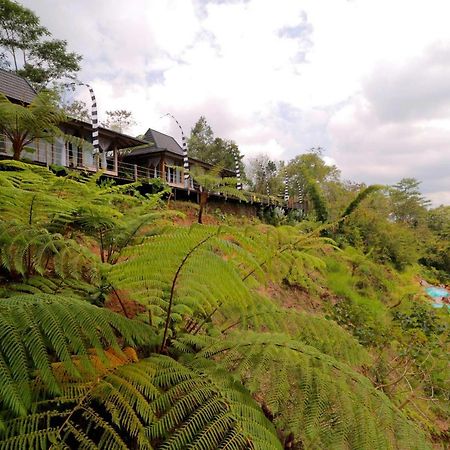 Hotel The Bejalin Eco Retreat Plaga Esterno foto